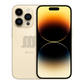 Gold WavePro showcasing front and back. 