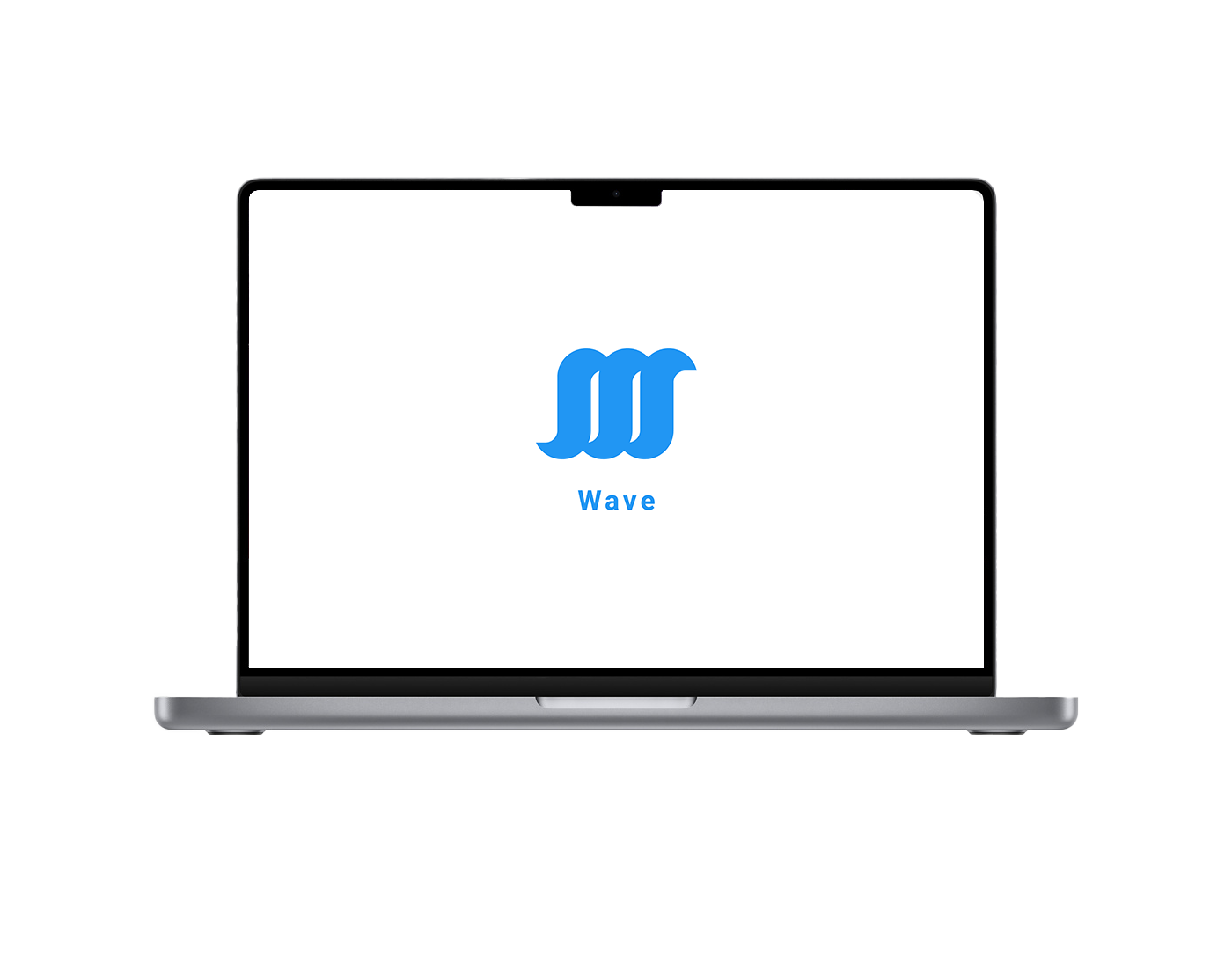 WaveSurf with our logo, loaded up on screen.